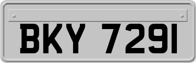 BKY7291