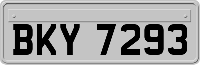 BKY7293