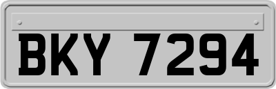 BKY7294