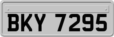 BKY7295