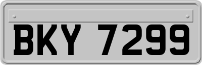 BKY7299