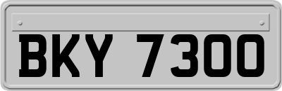 BKY7300