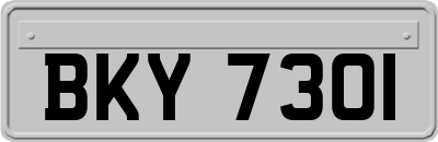 BKY7301
