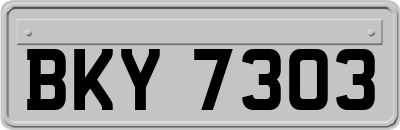 BKY7303