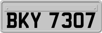 BKY7307