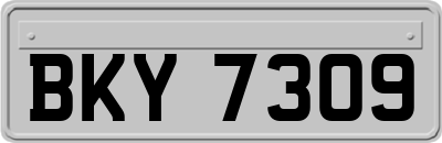 BKY7309