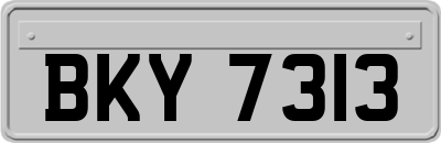 BKY7313