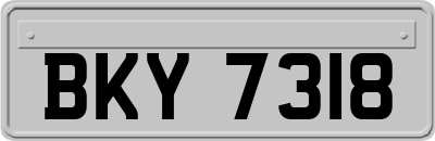 BKY7318