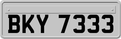 BKY7333