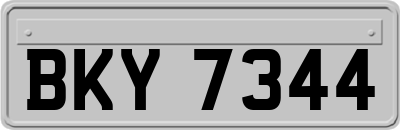 BKY7344