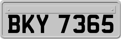 BKY7365