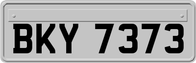 BKY7373