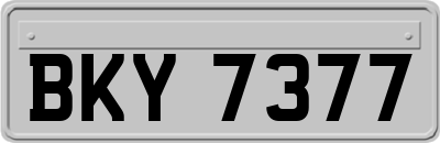 BKY7377