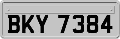 BKY7384