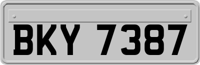 BKY7387