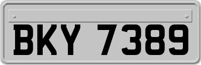 BKY7389