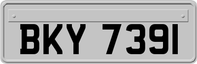 BKY7391