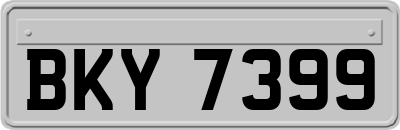 BKY7399