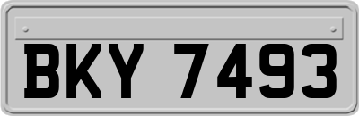 BKY7493