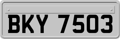 BKY7503