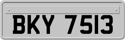 BKY7513