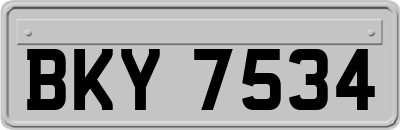 BKY7534