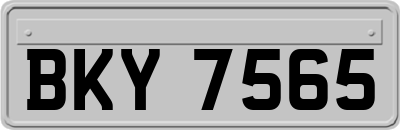 BKY7565