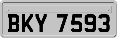 BKY7593