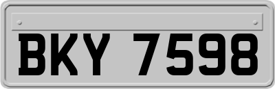 BKY7598