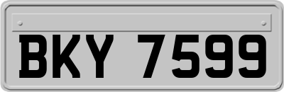 BKY7599