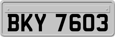 BKY7603