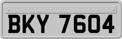BKY7604