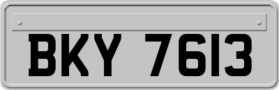 BKY7613