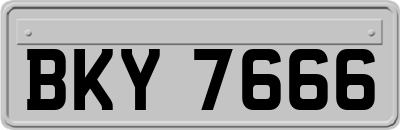 BKY7666