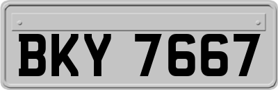 BKY7667