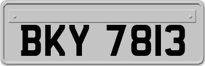 BKY7813
