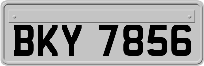 BKY7856