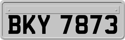 BKY7873