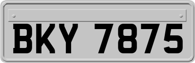 BKY7875