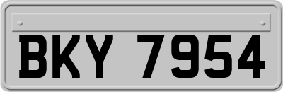 BKY7954