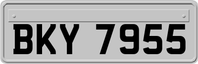 BKY7955