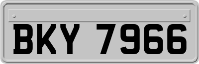 BKY7966