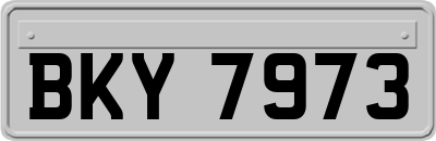 BKY7973