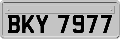 BKY7977