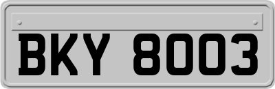 BKY8003