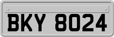 BKY8024