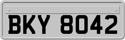 BKY8042