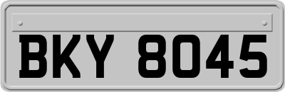 BKY8045