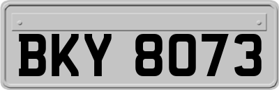 BKY8073