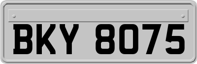 BKY8075